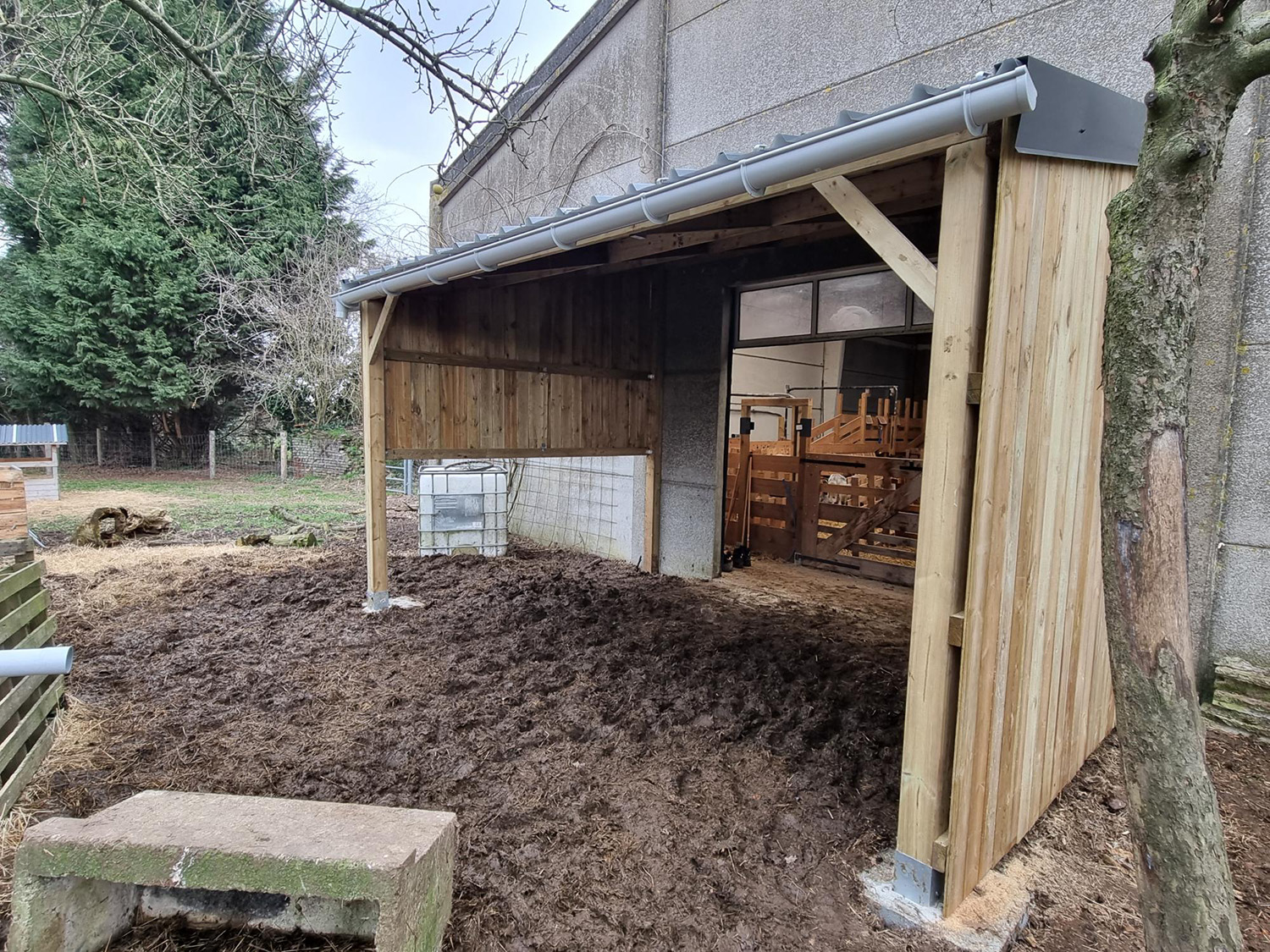 Carport & Pergolas 